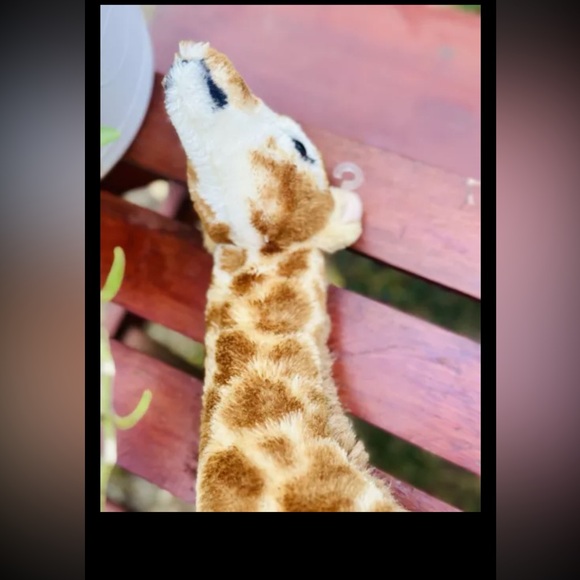 Vintage Toys R Us Life Like Giraffe Plush Stands Up On His Own from 2011 - Picture 13 of 16